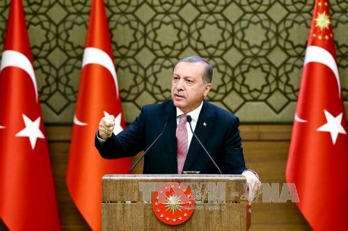 Правительство Турции прилагает усилия для стабилизации ситуации в стране - ảnh 1